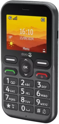 Doro Leva L10